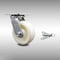 Service Caster 5 Inch Stainless Steel Nylon Swivel Caster with Roller Bearing and Swivel Lock SCC-SS30S520-NYR-BSL - alternate 1
